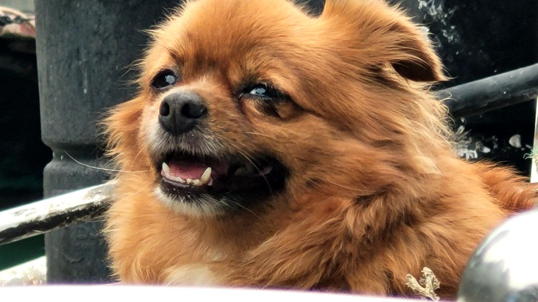 Sản phẩm tốt chính hãng