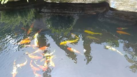 Sản phẩm tốt, rất hài lòng Sản phẩm tốt, rất hài lòng