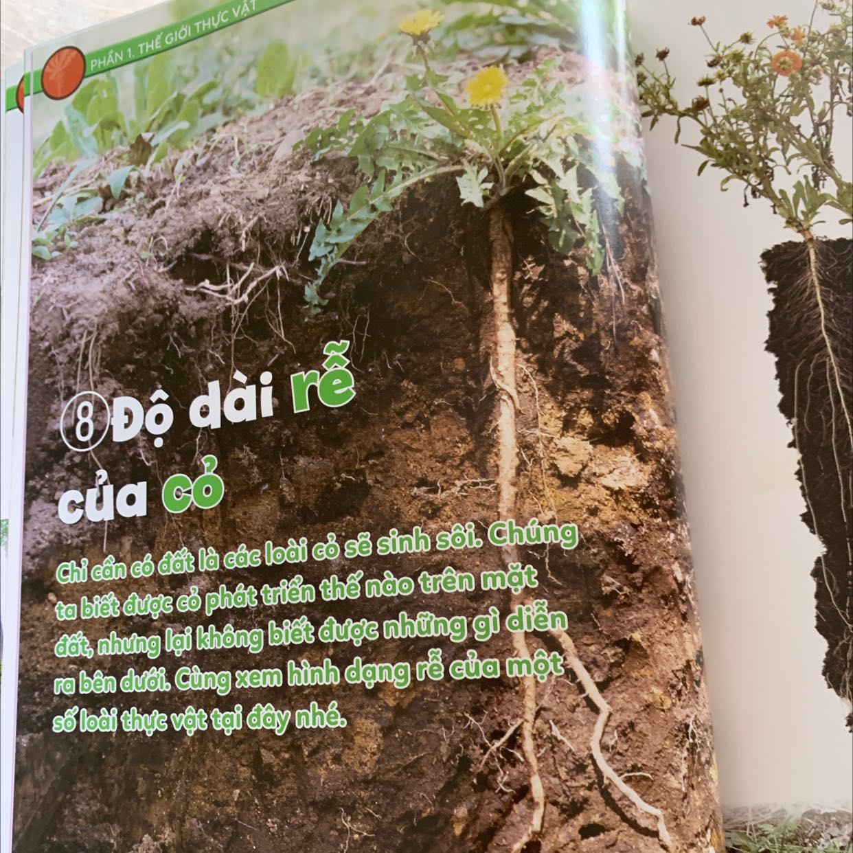 Mua đúng đợt sale nên giá rất ok, sách hay miễn chê, những vấn đề khoa học dc trình bày đơn giản dễ hiểu, hình ảnh minh hoạ rất đẹp và dễ hiểu.