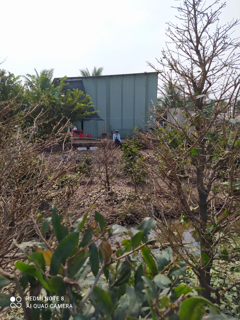 nho gọn dễ sử dụng