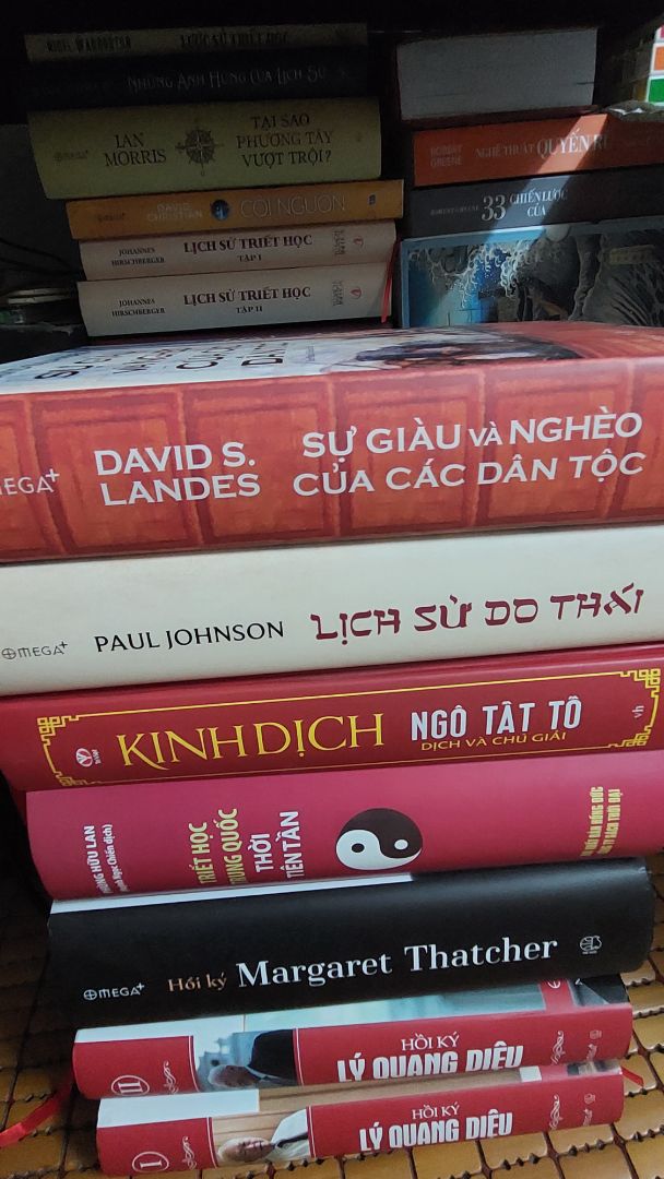 Lịch sử thế giới được trình bày theo khía cạnh phát triển kinh tế và hiện đại hóa. Tại sao một số quốc gia có thể vượt lên trên các quốc gia khác trở nên giàu có và thịnh vượng và ngược lại tại sao các nước nghèo lại mãi nghèo như vậy. Tác phẩm với tầm bao quát lớn giúp độc giả phần nào có câu trả lời cho riêng mình.