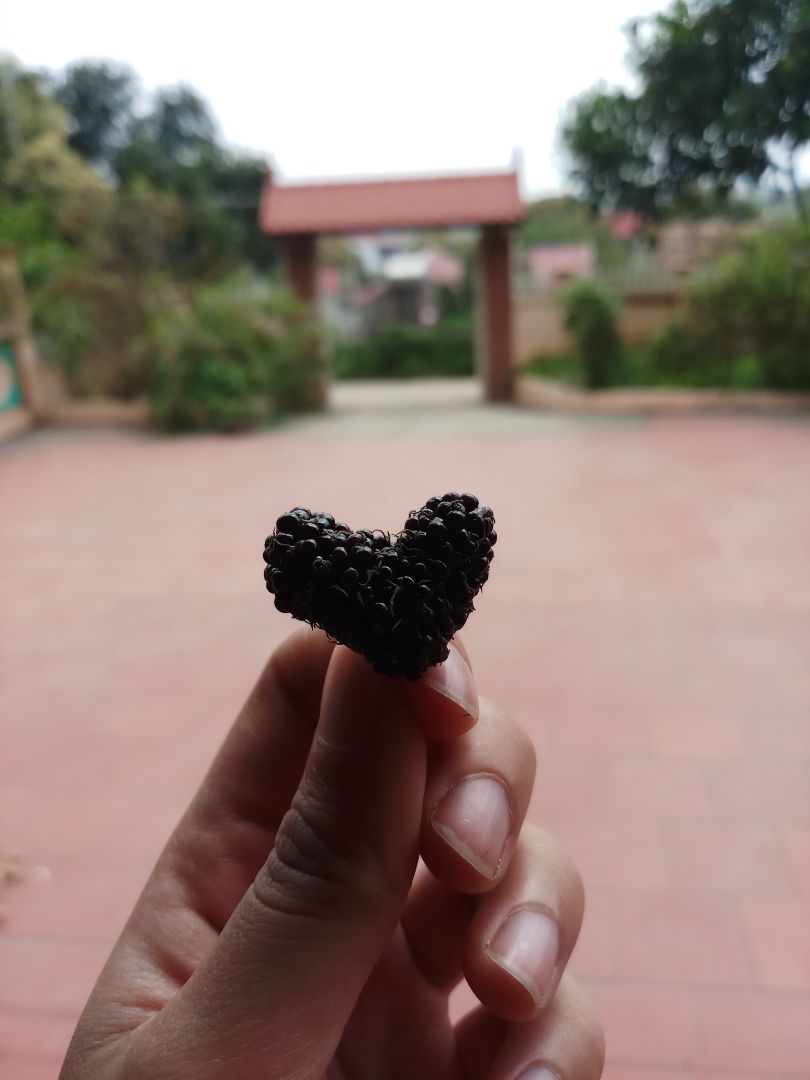 mua sách tiki thì khỏi phải bàn r