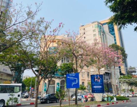 Sách in đẹp, đúng mô tả, đóng gói cẩn thận, giao hàng nhanh chóng