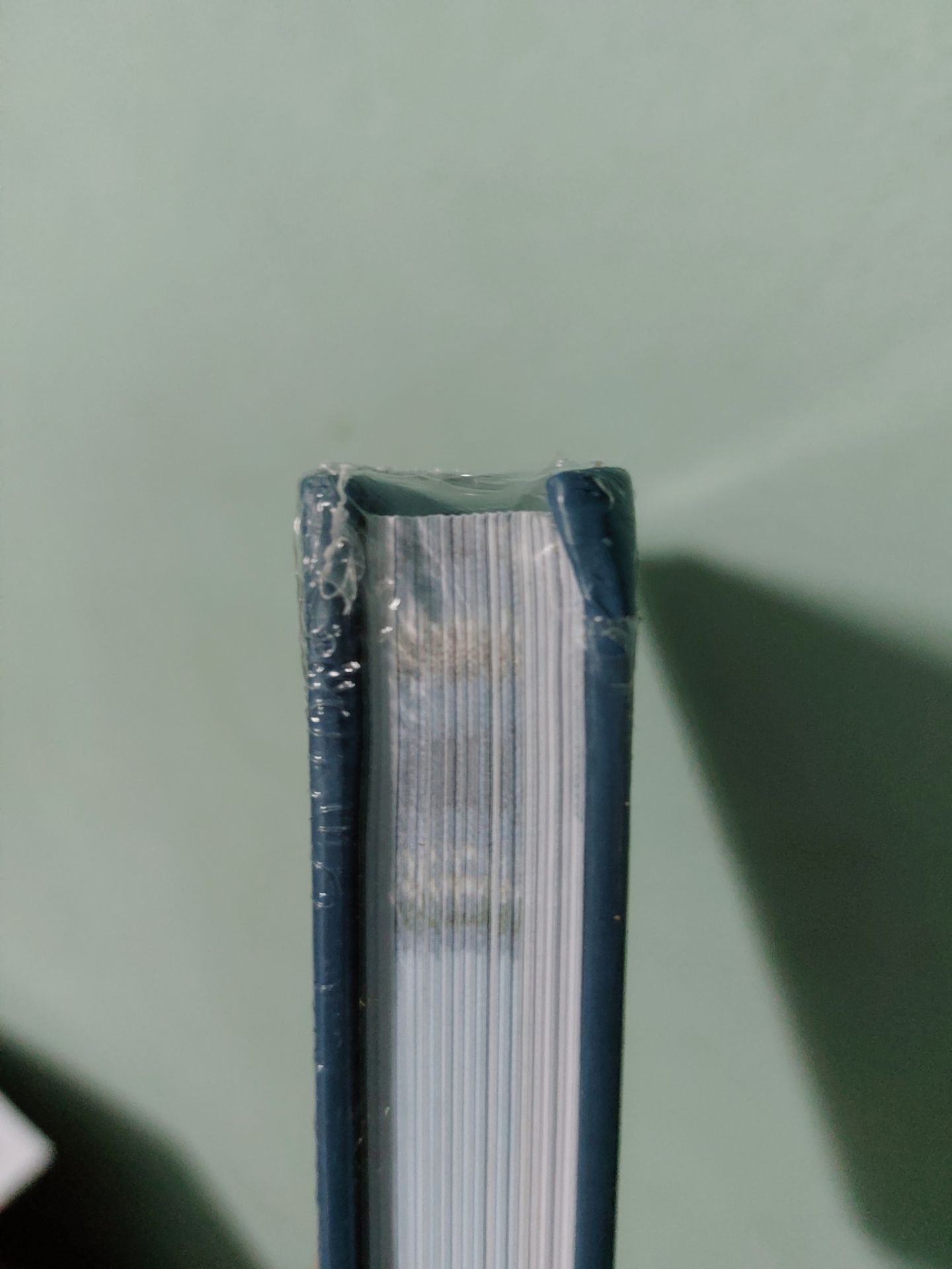 Shipper làm việc cẩu thả!
Khi shipper đến mình không có nhà, mình nhờ ảnh gửi sách qua nhà hàng xóm giùm mình đi. Nhưng không, ảnh quăng luôn sách vào trong sân nhà. Thế là sách của mình móp hẳn 1 góc.
Mình vẫn cho 3 sao vì mình được tặng kèm sách.