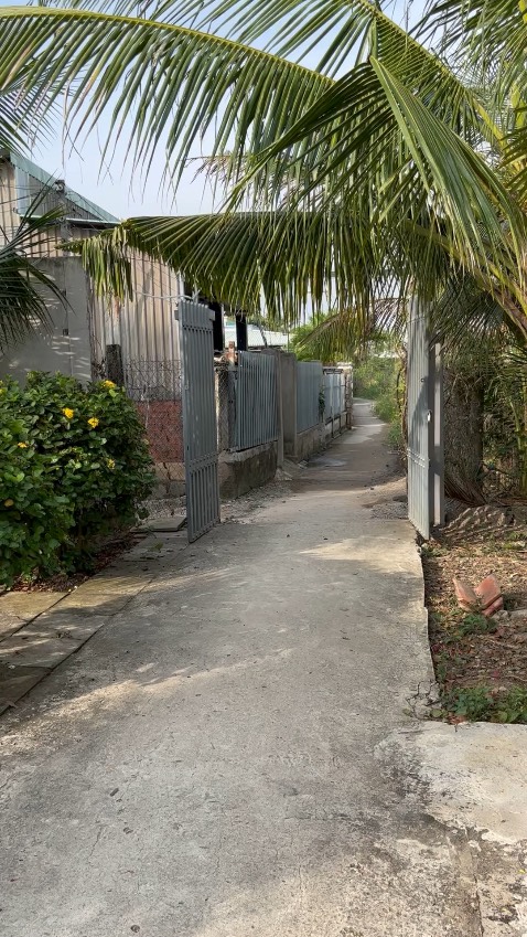 Ngon bổ cho trẻ em, thơm ngon