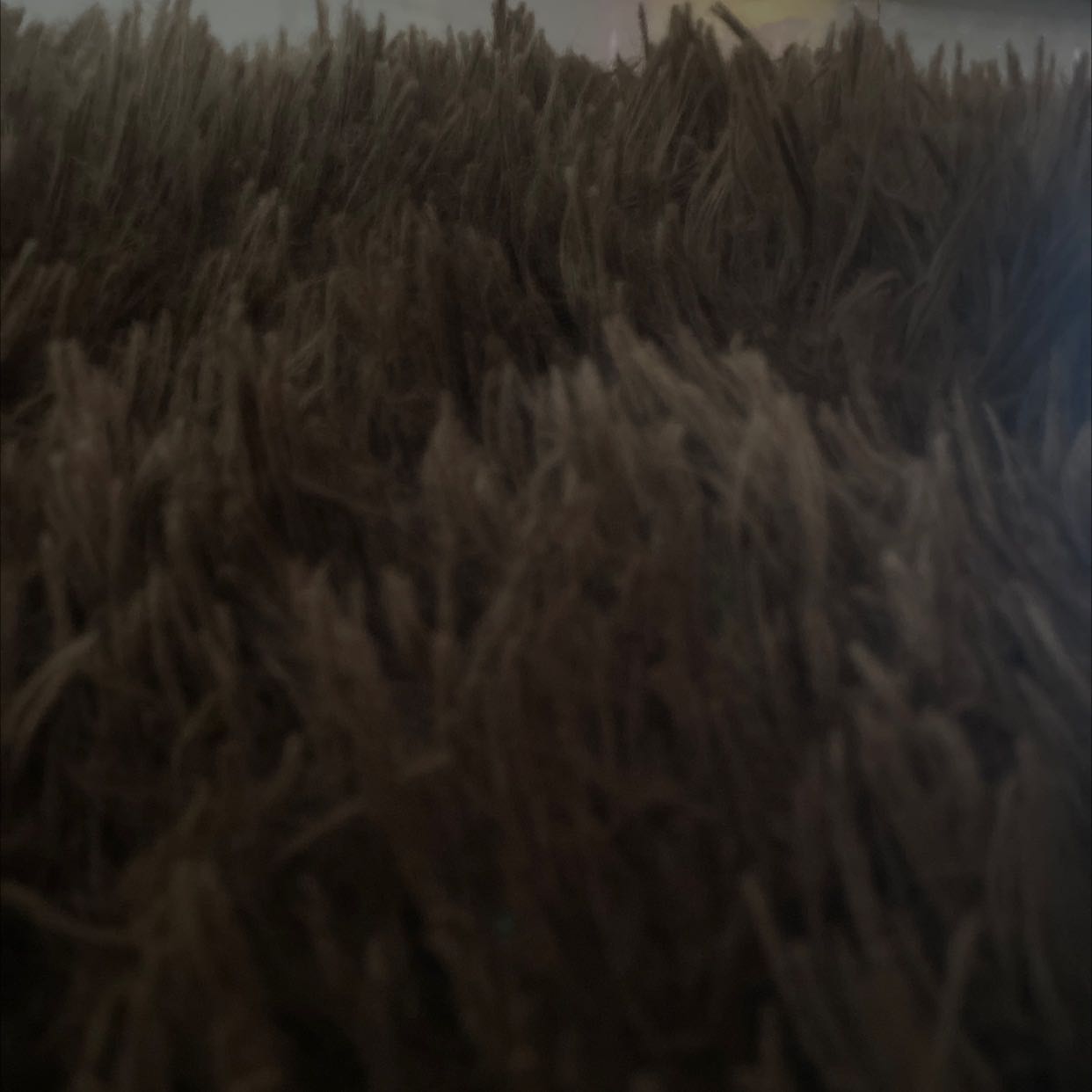 Ok , thiếu mũ đi mưa - điểm