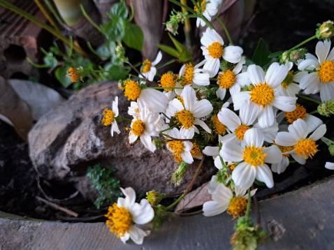 Thấy review hay nên mua dùng thử, chưa biết như thế nào nữa Thấy review hay nên mua dùng thử, chưa biết như thế nào nữa