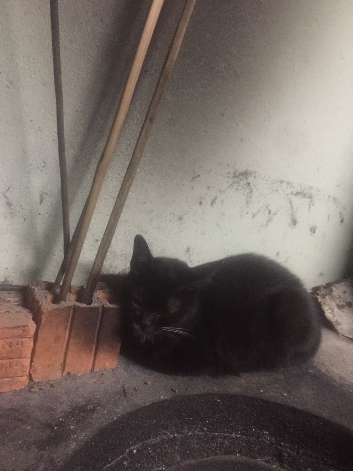 sản phẩm dao xịn lắm nha mọi người, dao bén, nhẹ và đẹp lắm nha