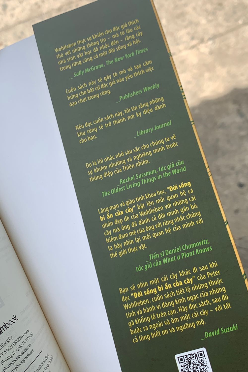 Cuốn sách này giúp chúng ta đứng lại để nhìn vào thiên nhiên diệu kỳ sau những hối hả trong cuộc sống hàng ngày. Đọc cuốn sách này mang lại cảm giác như đang dạo bước trong một rừng cây nguyên sơ, cảm giác rất đặc biệt, mới lạ. Đây là một món quà tươi mới đối với mọi người, nhất là những người bận rộn muốn có chút thời gian để hoà vào thiên nhiên.