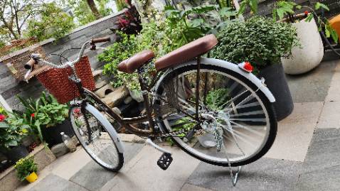 Xe rất đẹp, mình chọn màu trắng sau đổi ý chọn nâu, chat shop phản hồi ngay, nhiệt tình hỗ trợ, gửi cả video hướng dẫn lắp ráp. Shop còn gửi quà và lời cảm ơn. Lv chuyên nghiệp cực ok. Sẽ ủng hộ shop.