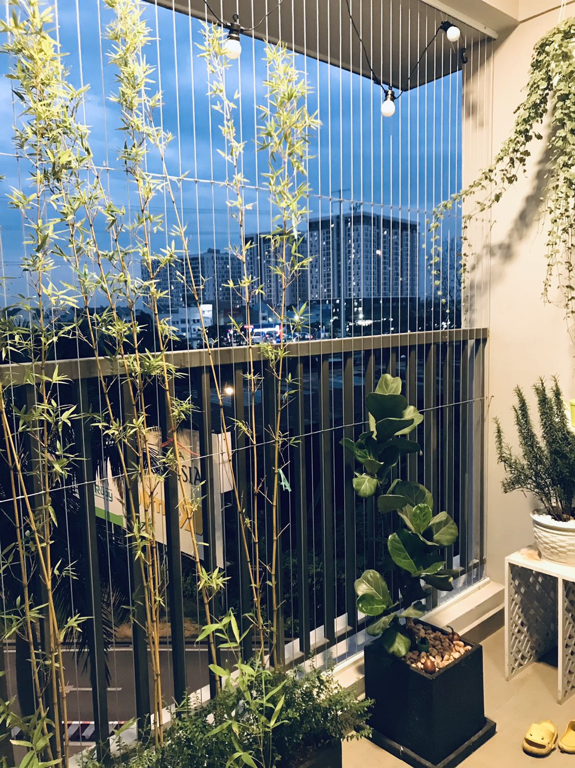 Hi Tiki. Sử dụng được 5ph nghe tiếng tách. Và không sáng nữa. Mặc dù ổ điện dùng chung với thiết bị khác thì vẫn bình thường.