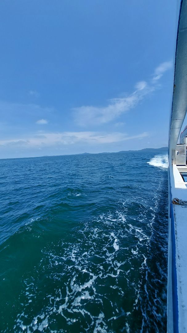 san pham dung on, giao hang dong goi can than, chat luong phải dùng 1 thời gian miwis biết