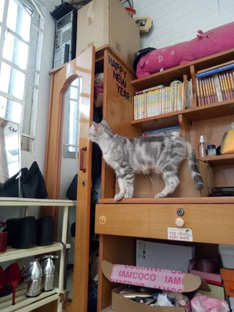 Than moi THANH den nhan QUA va tham gia Hoi Sach Xa Kho - Ban Theo Can 49K/1KG. Luc 8h-22h tu 17/7 den 21/7 tai Nha Van Hoa, so 3 Le Duan, TP Buon Ma Thuot.