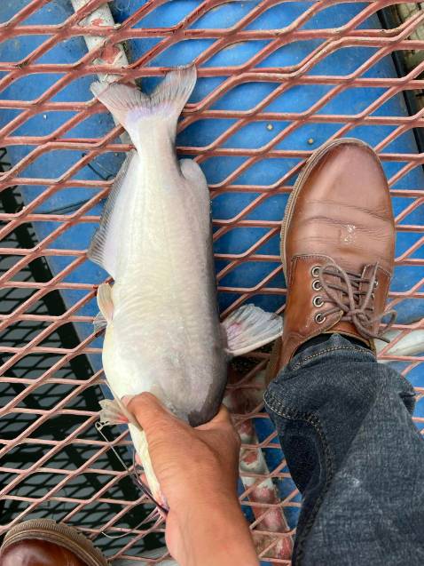 Hình ảnh chỉ mang tính chất minh họa tuyệt vời hgf