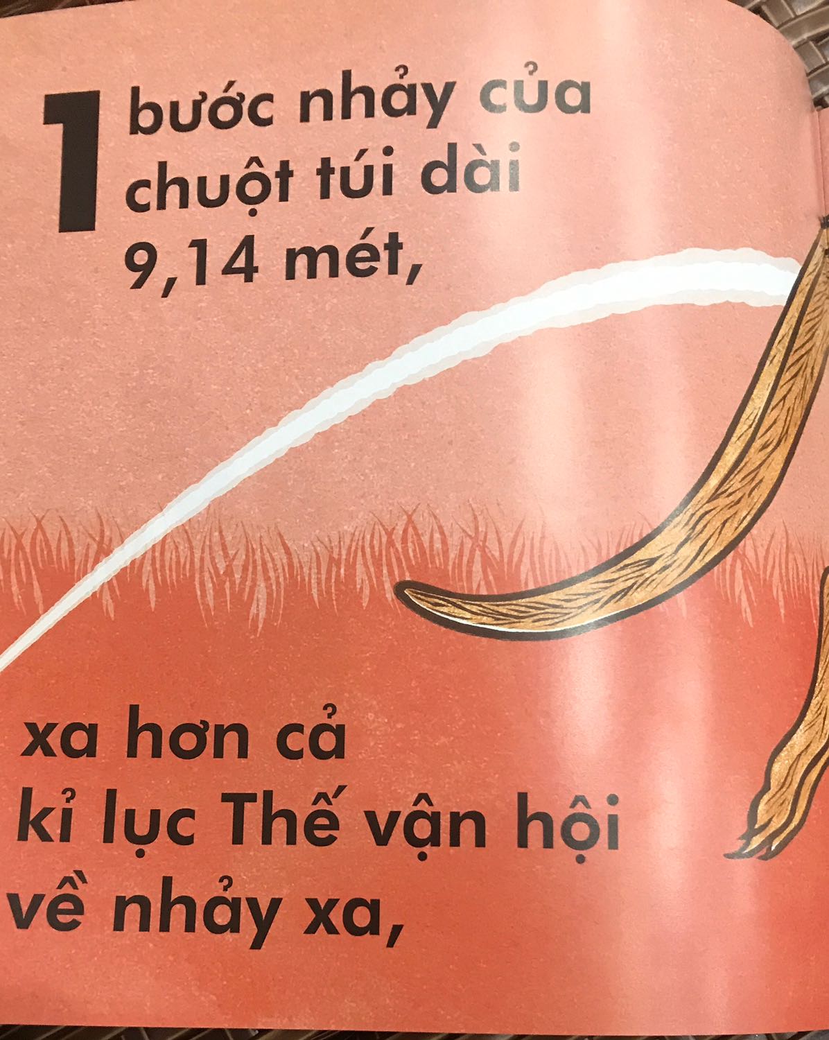 Rất thích bộ này. Màu sắc, chữ to.