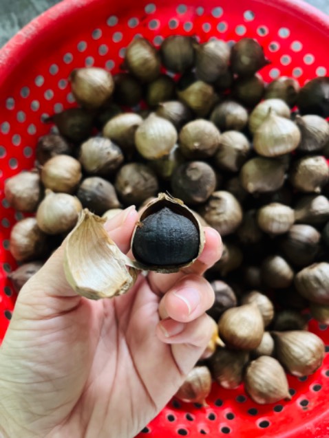 Mẻ tỏi thứ 2 của mình, 2 lần đều thành công. Lúc nhận máy về khởi động không được, mình liên hệ được Tiki hỗ trợ rất nhiệt tình, đổi máy khác cho mình. Khâu chăm sóc khách hàng của Tiki mình đánh giá rất cao. Máy làm tỏi tốt, mọi người có thể tham khảo mua ạ.