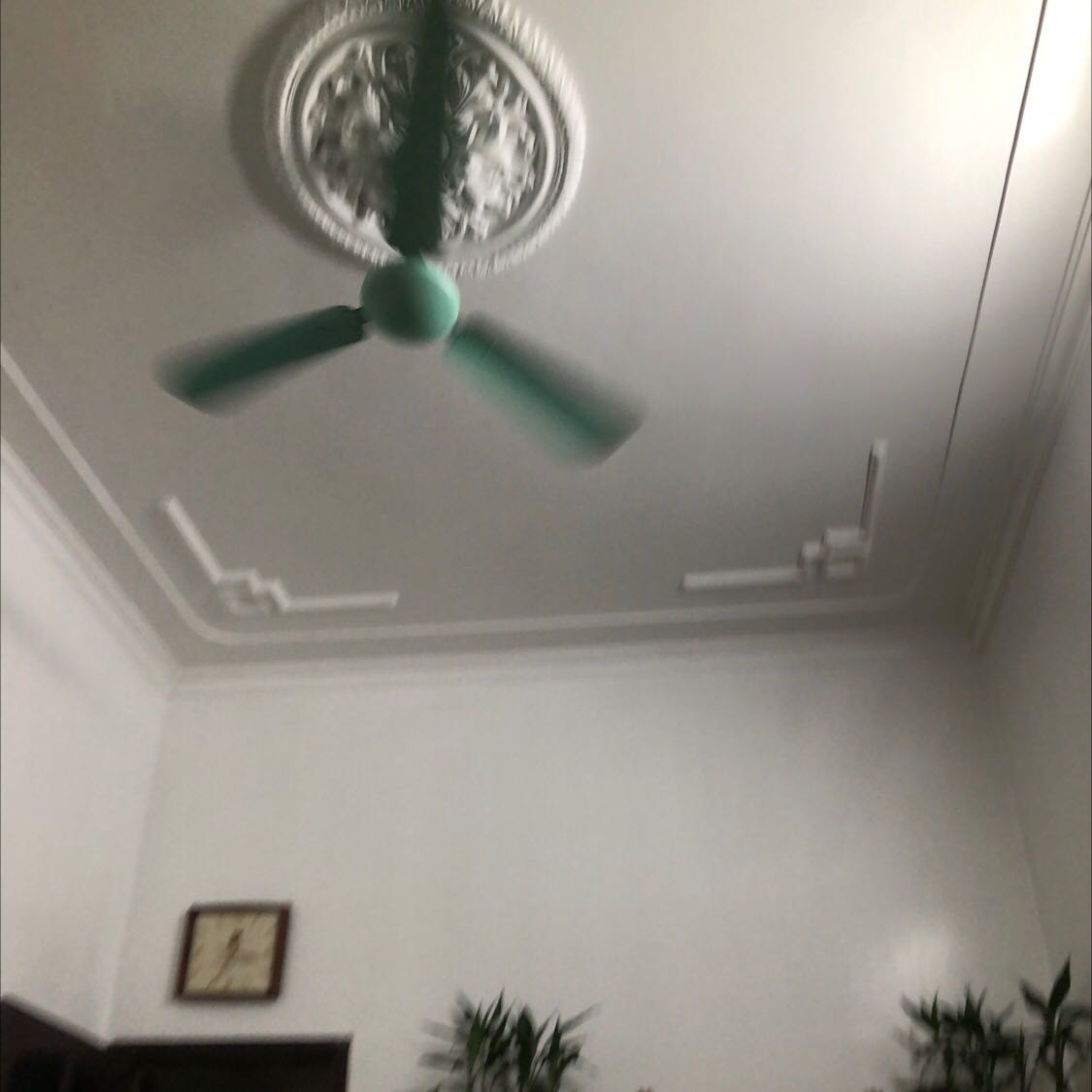 Giao hàng nhanh. Nước mắm thơm. Dùng xào nấu rất thích