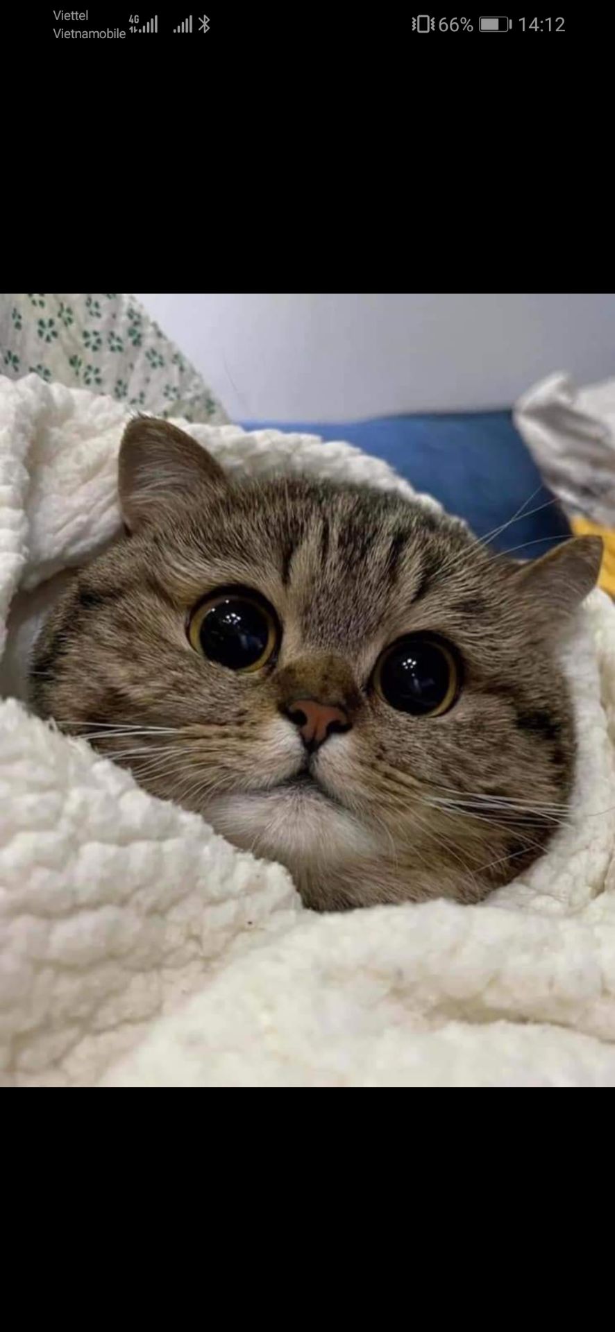 Giao hàng siêu tốc. Bác shiper thân thiện. Dịch vụ tốt. Sách mới đáng đồng tiền bát gạo. Tiki không làm mình thất vọng. Sẽ tiếp tục ủng hộ 😍😍😍👍👏👏🥰😘🤑🤑