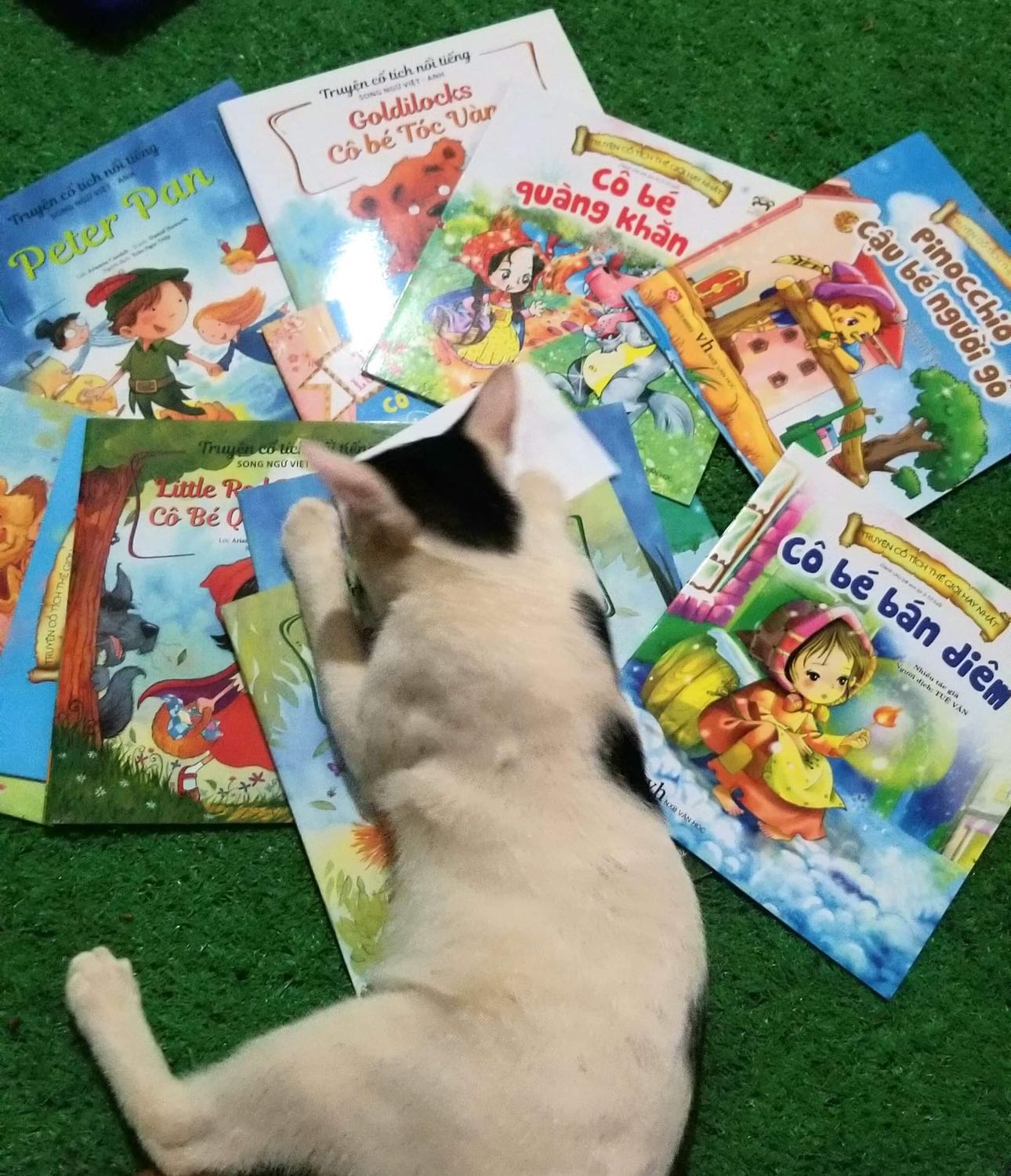 Sách rất hay, quàng thượng nhà mình rất thích :))