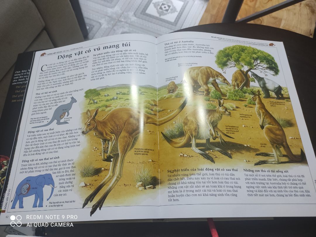 sách cực kỳ nặng. giấy và hình ảnh chất lượng. đóng gói cẩn thận và giao hàng nhanh chóng.