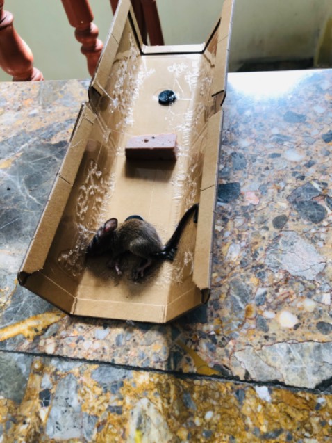 Tốt & hiệu quả