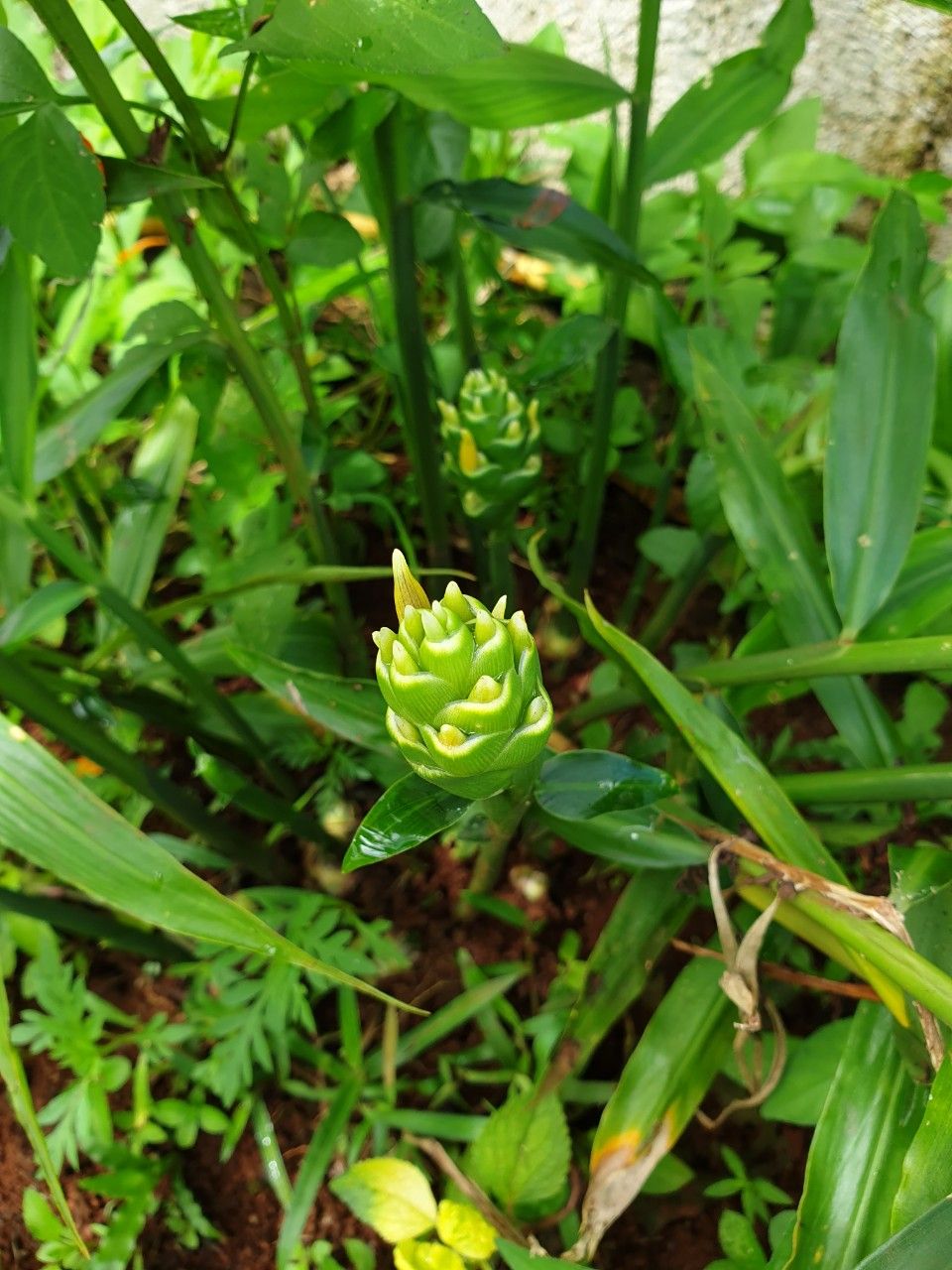 díttjzktxtkxgkxkgxkyxlychlchlchlclhhhhchlc