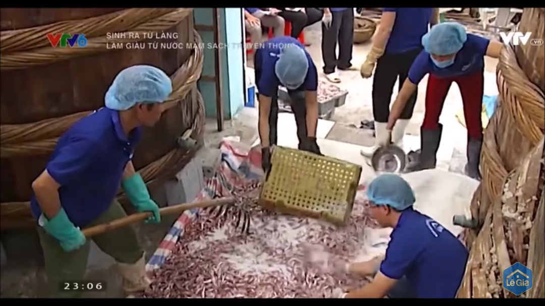 sau khi xem quá trình sản xuất thì mình thấy có vài khâu không được sạch. thứ nhất mắm đựng trong nồi nhôm, thứ hai người công nhân đang trộn cá với muối bằng một chiếc cào sắt, thứ ba người công nhân đang trộn moi với muối trên một tấm tôn phủ sơn màu xanh, lớp sơn này rất dễ thôi nhiễm vào gây độc hại ( nếu anh giám đốc được đào tạo về atvstp thì sẽ hiểu được một điều cơ bản là kim loại được phép tiếp xúc trực tiếp với thực phẩm phải là thép không gỉ vd như inox 3***/10, inox 316... ngoài ra những kim loại như nhôm, sắt, tôn khi tiếp xúc với thực phẩm nhất là muối sẽ bị thôi nhiễm chì, kim loại nặng gây ung thư. thứ tư là cá với muối được trộn trên một tấm bạt nhuộm màu xanh đỏ thứ năm là anh đeo gang tay y tế nhưng lại sờ tiếp xúc với đồ vật khác dính bụi bẩn, sơn,... rồi lại tiếp xúc trực tiếp với thực phẩm, thứ năm là người công nhân đeo gang tay ( không biết gọi là loại gì nhưng loại này người ta chỉ dùng để rửa bát, cọ bồn cầu... chứ không ai dùng để tiếp xúc với < thực phẩm sau khi rửa > vì mùi gang tay này cục kì nồng, mùi này do hóa chất độc hại có trong nó tạo ra