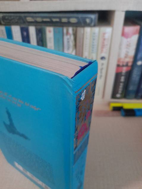 Đóng gói và giao hàng quá tệ, sách chứ có phải gì đâu mà lần nào tới tay cũng dập hết