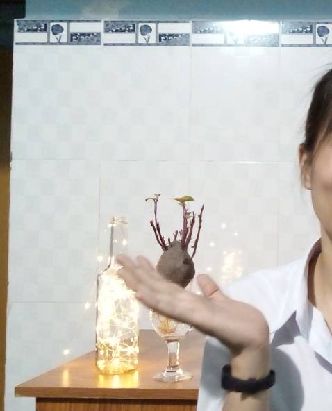 Hỗ trợ khách hàng nhiệt tình!

Bữa mình mua về thắp được 2 lần thì đèn không sáng nữa, sau đó mình liên hệ lại với cửa hàng nhờ họ xử lý giúp. Bên cửa hàng tư vấn và nhờ mình quay lại video để kiểm tra xem đèn có vấn đề gì không. Sau đó cửa hàng bảo mình gửi trả hàng để họ gửi đèn mới cho mình dù đơn hàng của mình đã quá hạn đổi trả, chỉ còn hạn bảo hành sữa chữa. Nhưng sau đó cửa hàng sợ mình mắc công, nên đã bảo sẽ tri ân cho mình một cái đèn mới luôn không phải gửi trả lại đèn hư cho shop nữa. hiiiiii.