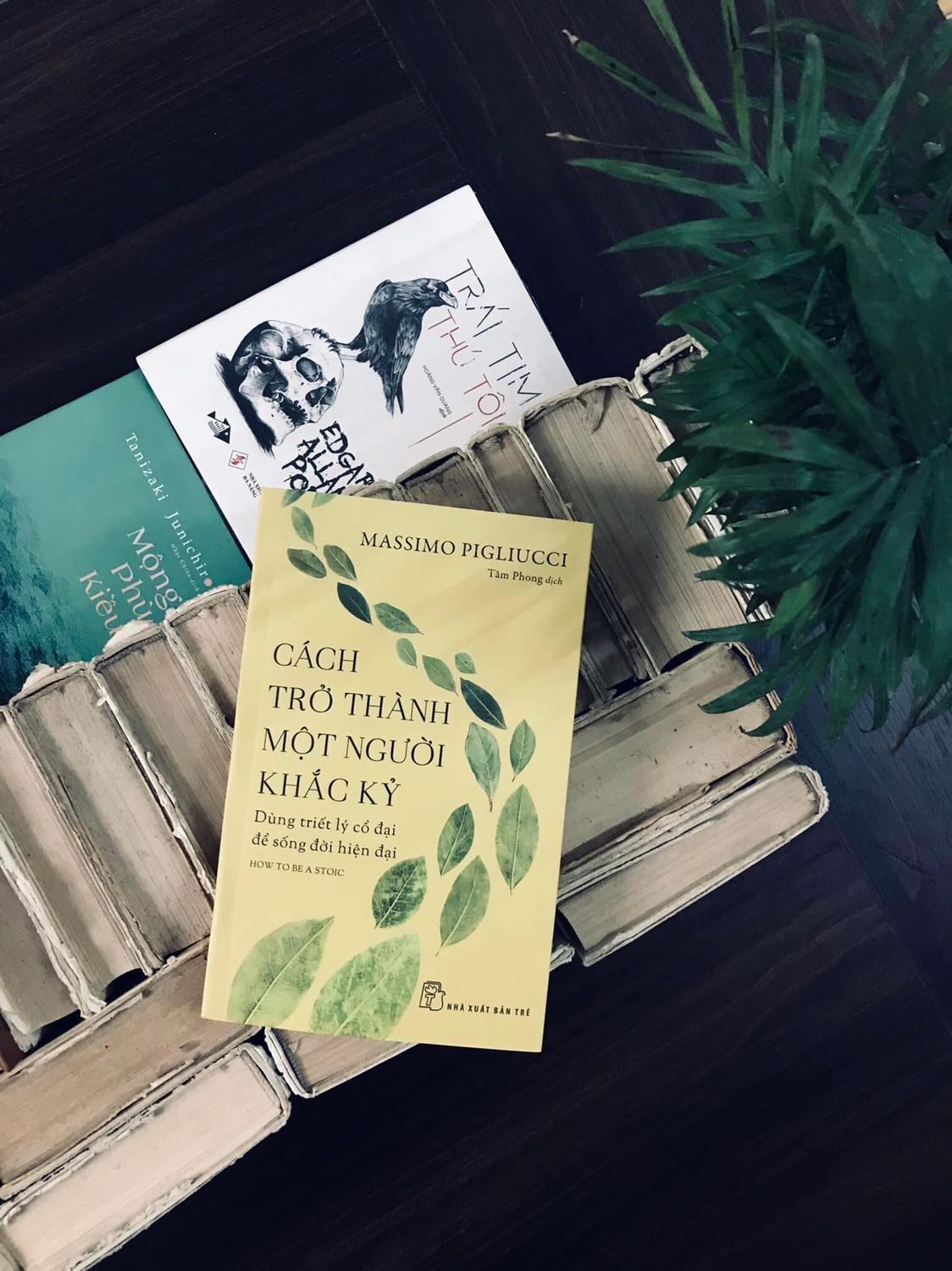 Sách hay, viết về chủ đề khắc kỷ, vấn đề mình đang quan tâm. Tiki giao hàng nhanh. Sách hay, viết về chủ đề khắc kỷ, vấn đề mình đang quan tâm. Tiki giao hàng nhanh.