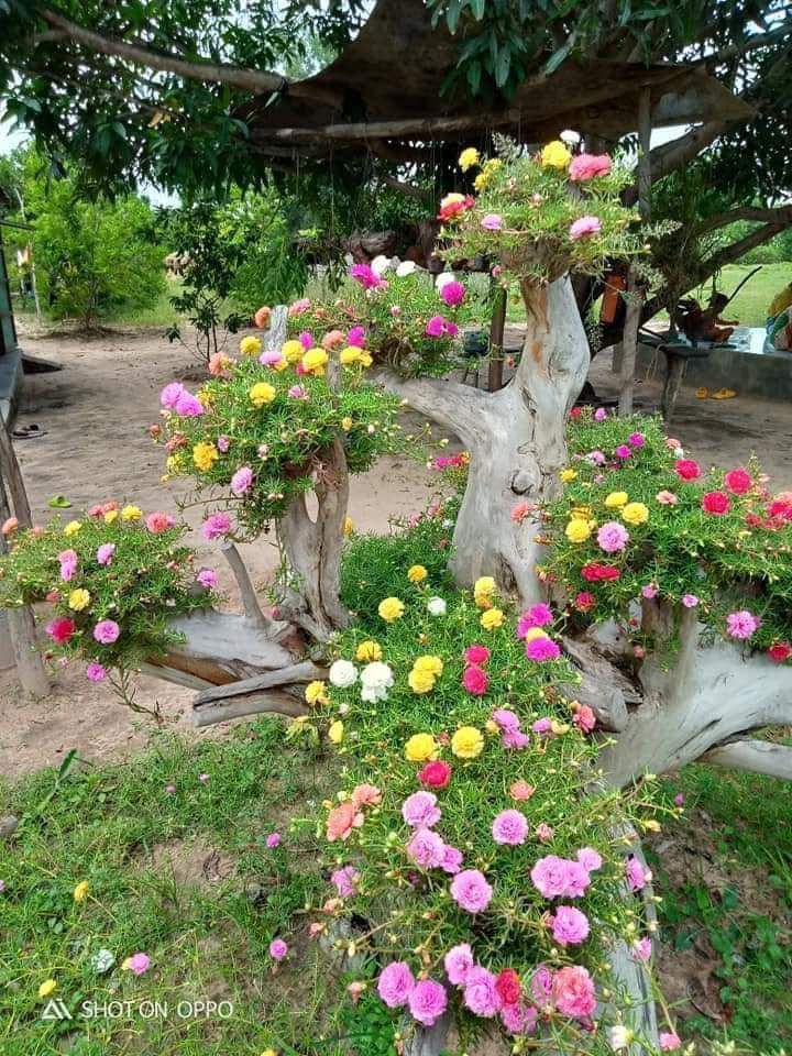 sp tốt chất lượng ok giao hàng nhanh shipbo than thiên ns chung là ok cho 5 saoanh chỉ nhận xu