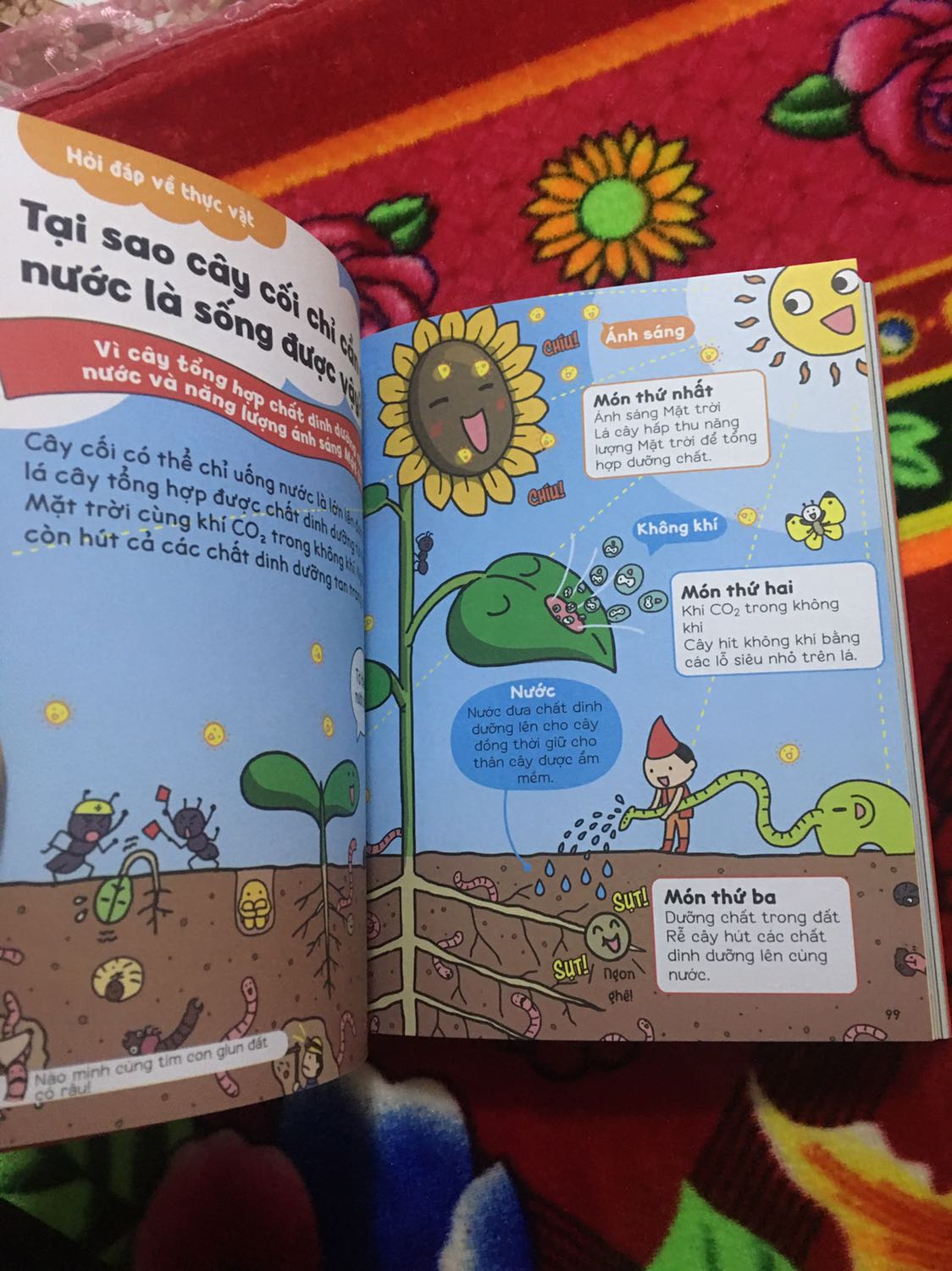 Sách này rất nhiều kiến thức về nhiều chủ đề
Minh hoạ rất hay và dễ hiểu
Bố mẹ nên đọc những quyển ntn để thêm kiến thức khi bị con hỏi vặn