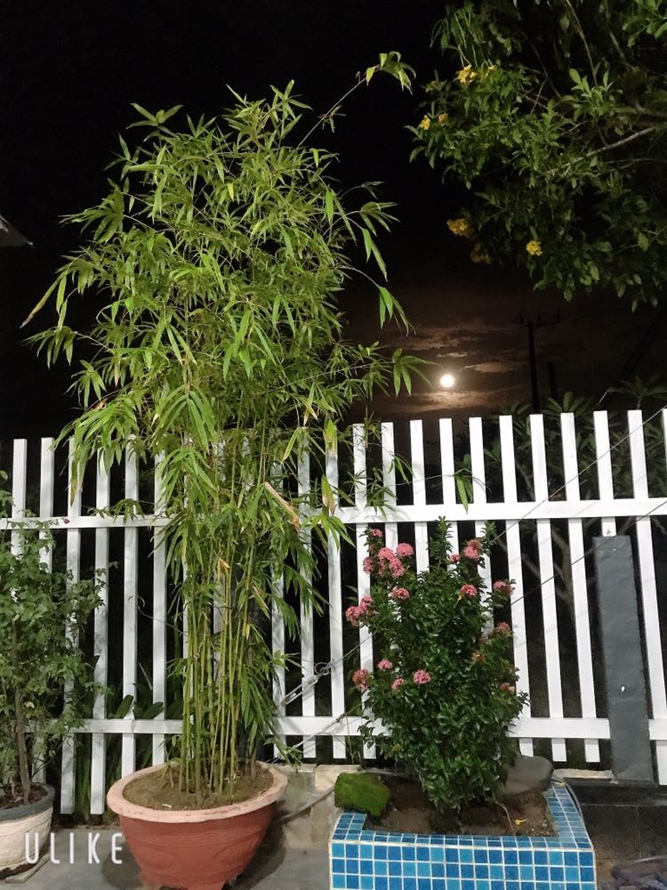 Năm sao cho hàng chính hãng mua 4 tặng 1 chưa dùng chưa biết nếu tốt mình sẽ ủng hộ shop lần sau cô nhân viên thân thiện