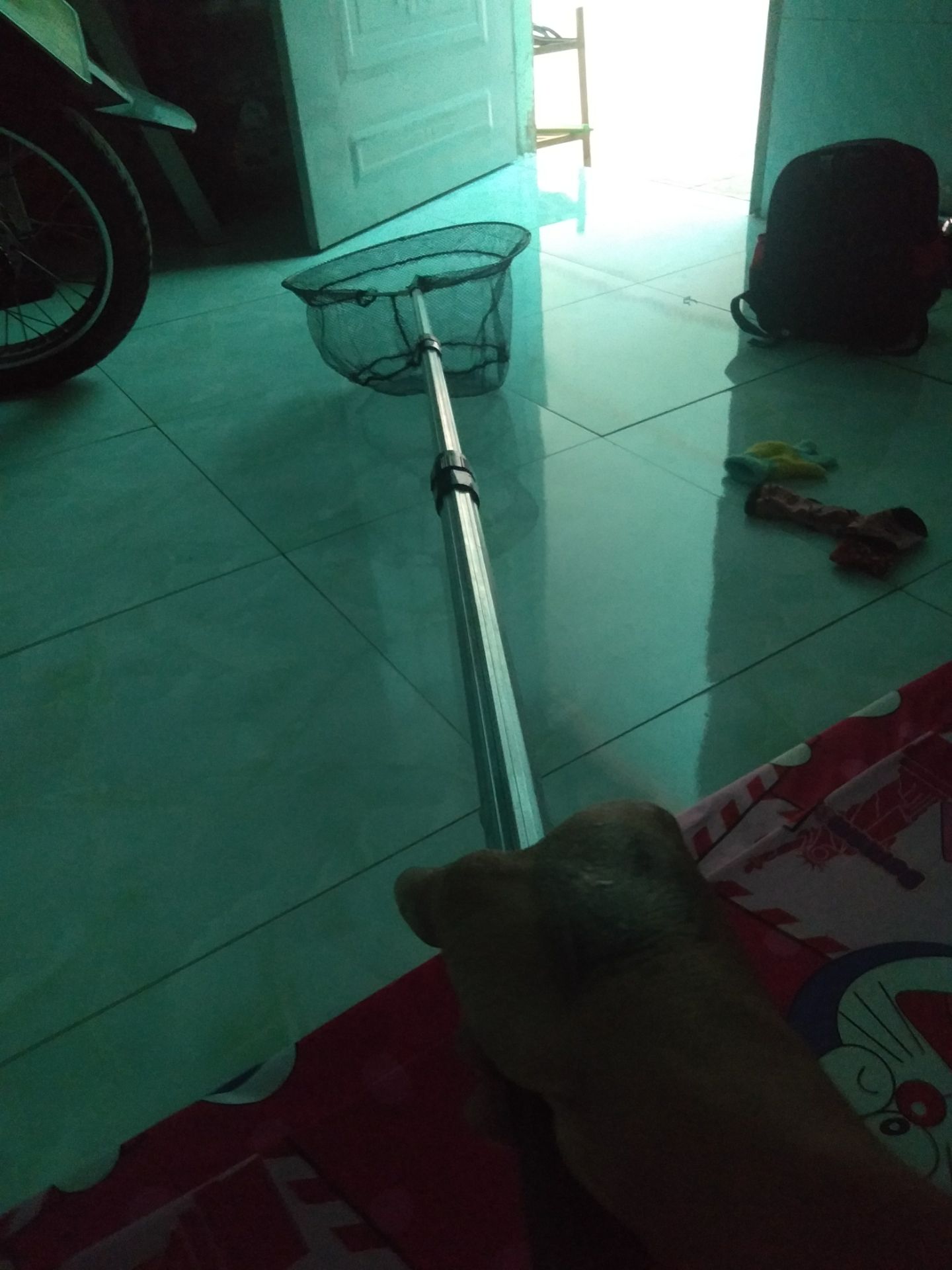 hàng đóng gói kỉ. gọn gàng khi đi câu.. chỉ cần xếp nhỏ là bỏ vừa.. lại rất hợp túi tiền. nên mua