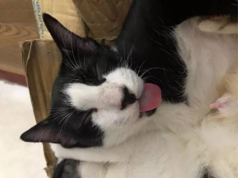 Nhận hàng rất nhanh :) Cảm ơn shop thật nhiều vì sản phẩm của shop rất chất lượng , lưu hương rất lâu.
Shop đóng gói thật kỹ càng . Mình hài lòng hết sức luôn ! Chắc chắn sẽ quay lại để tìm shop :) Cảm ơn shop đã tặng mình món quà nhỏ dễ thương . Love you :)