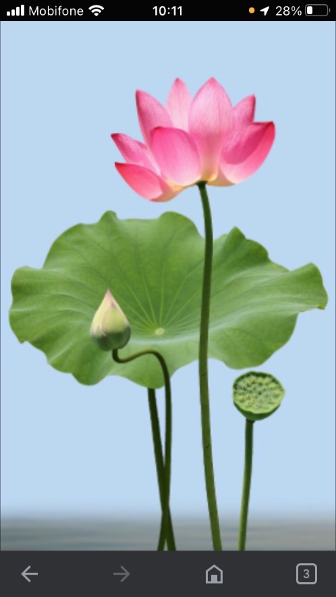 Giao hàng đúng mẫu. Hợp khẩu vị, ngon.
- Tốt … tặng bạn 5 sao.