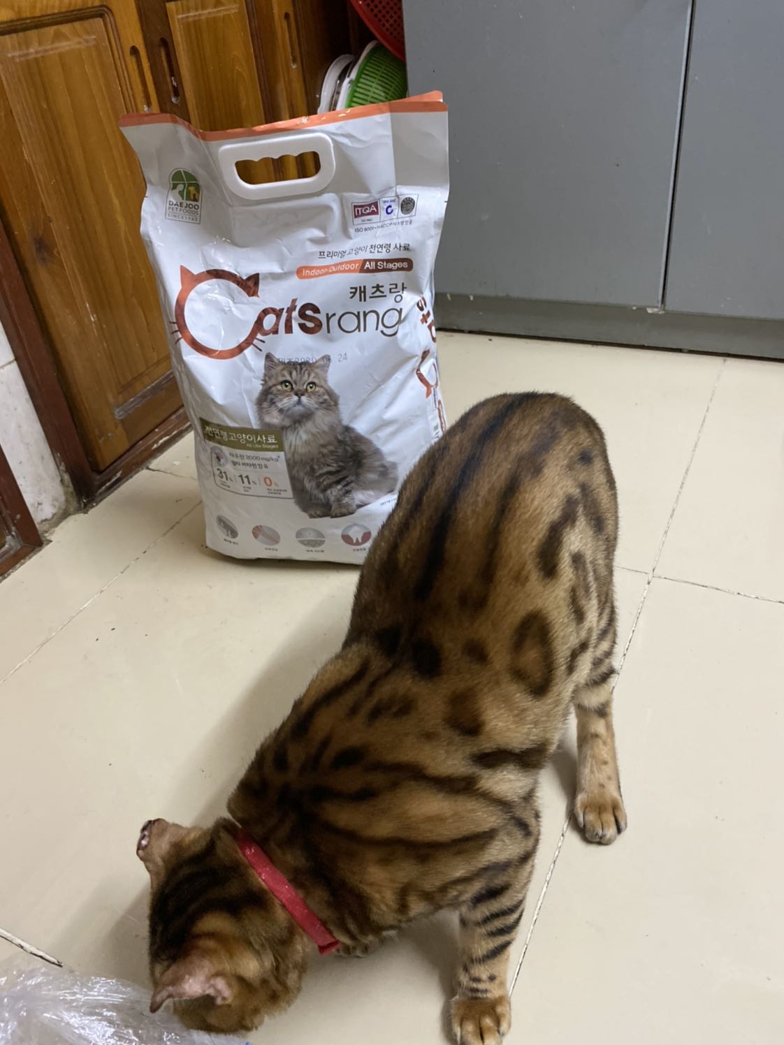 Mèo ? nhà thường ăn Royal Canin nhưng giá mắc quá nên bây giờ đổi sang Catsrang , tụi nó vẫn ăn. Shop bán giá rất rẻ, có mã giảm giá nên bịch 5 kg chỉ còn 306k. Bao đựng có những lỗ chấm thủng nhỏ nên trút sang đựng trong thùng nhựa cho tiện bảo quản . Mèo ? nhà thường ăn Royal Canin nhưng giá mắc quá nên bây giờ đổi sang Catsrang , tụi nó vẫn ăn. Shop bán giá rất rẻ, có mã giảm giá nên bịch 5 kg chỉ còn 306k. Bao đựng có những lỗ chấm thủng nhỏ nên trút sang đựng trong thùng nhựa cho tiện bảo quản .