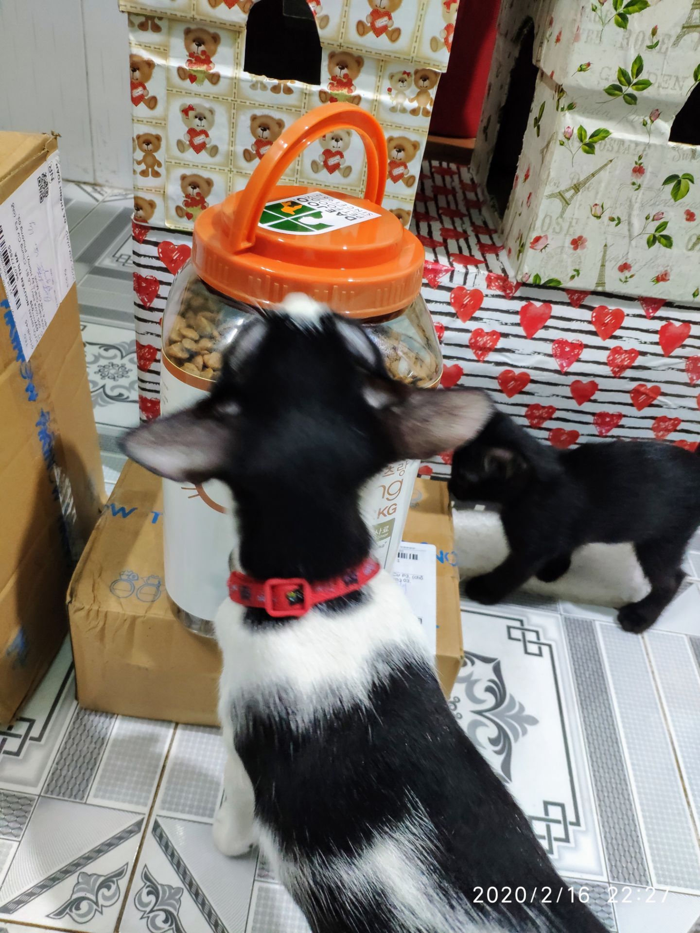 Tiki/Shop đóng gói rất cẩn thận, giao nhanh hơn dự kiến  4 hay 5 ngày gì đó. 
Lần đầu mình thử loại này cho mấy bé mà thấy mấy bé cũng khoái lắm, ngồi nhai đốp đốp hoài :))
Mình hài lòng về đơn hàng này nhé! Thanks!