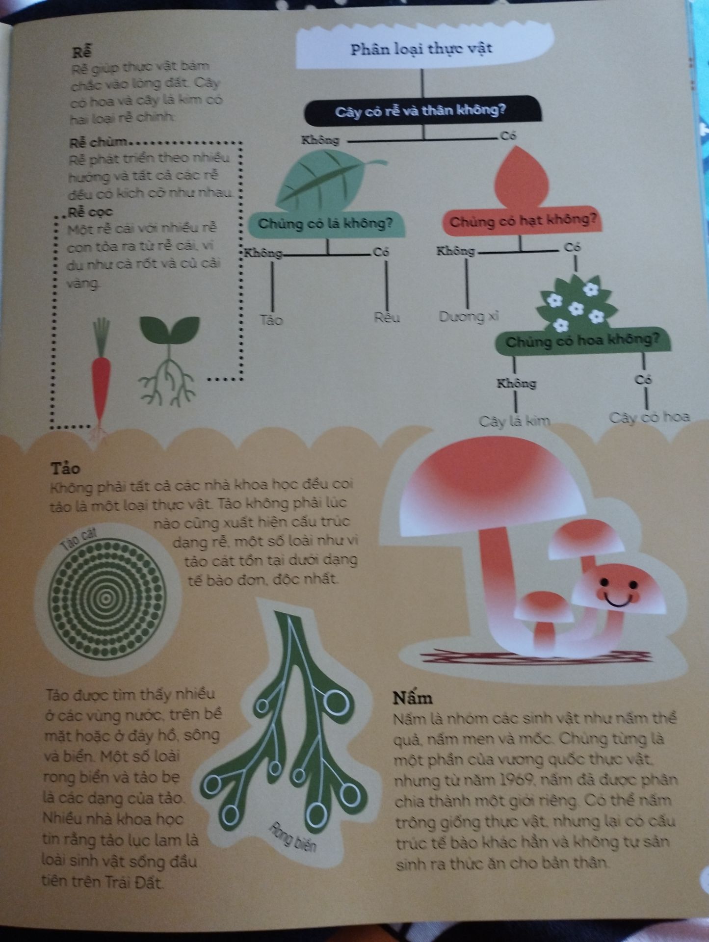 Sách dày dặn. Sale 70% nên gáy sách có bị lỏng 1 chút  nhưng không sao