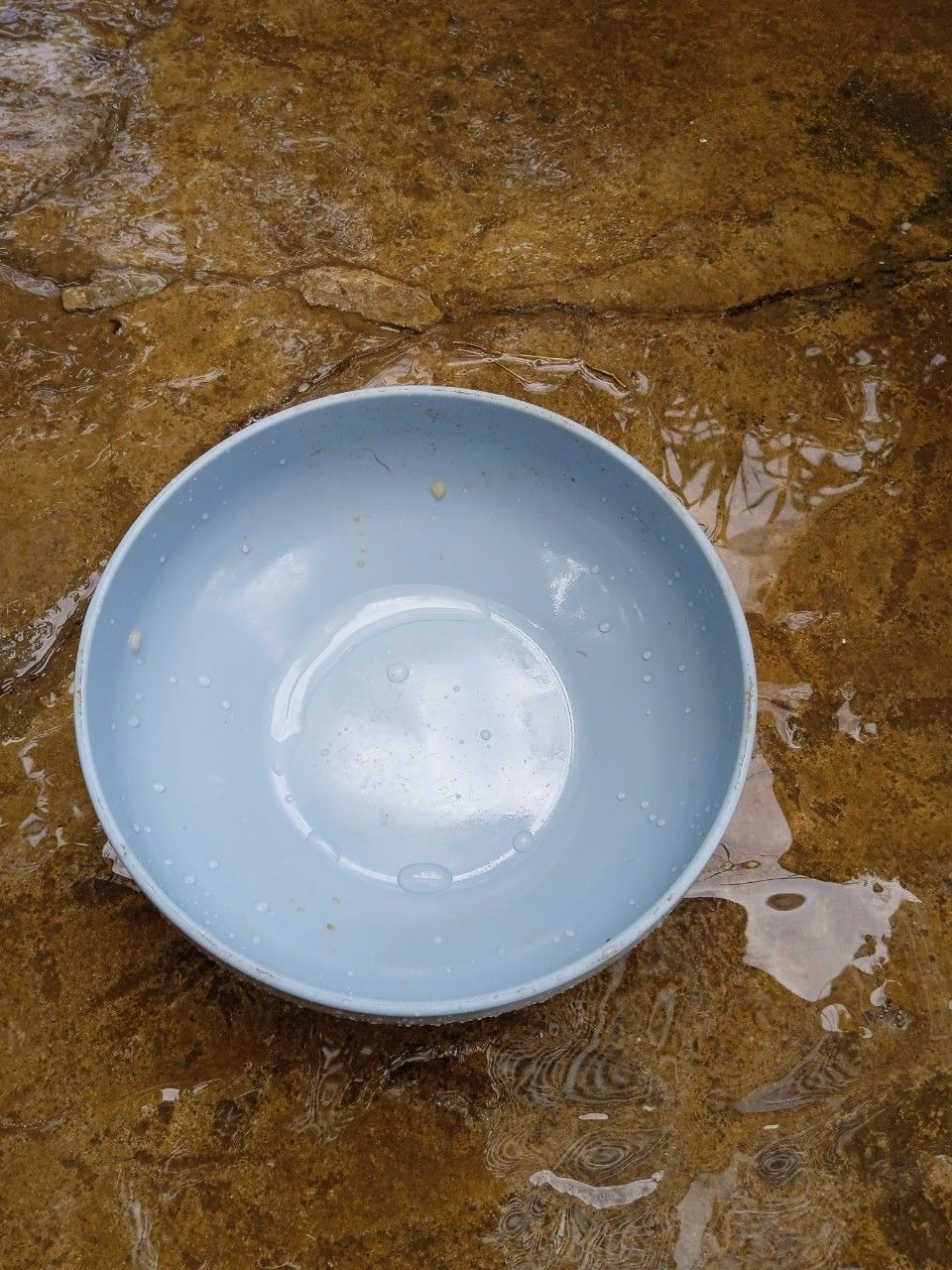 có 11k nên phải múc liền ❤️ tô xinh, nhựa cứng, mua cho bé kiki nhà ăn mà nó thích lắm 🤣 lần sau sẽ mua típ 🙆