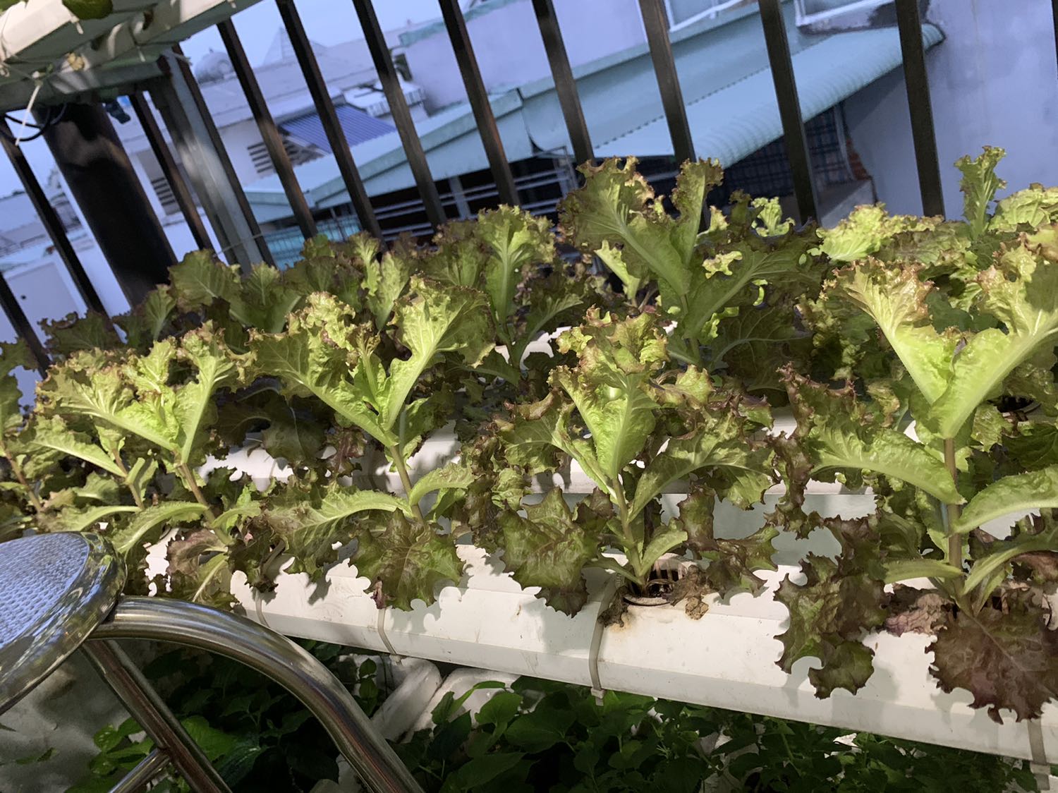 Tiện lợi. Giao hàng nhanh. Đóng gói kỹ