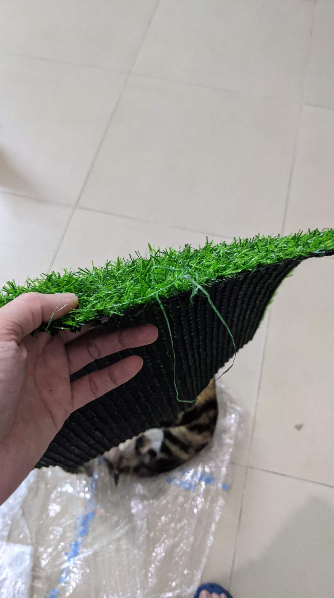 sản phẩm hoàn toàn không giống như mô tả. mời tiki nhìn hình, có thấy giống 2cm cỏ không? cỏ bẹp dí, sút ra khỏi đế luôn. đế thì mỏng, lúc khui ra khỏi bao, còn rớt bụi cao su ra lả chả. tôi đang liên hệ tiki xin đổi trả. càng lúc các shop trên tiki càng kém chất lượng, treo đầu dê bán thịt thằn lằn ko à.