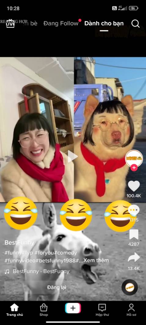 Chất lượng rất tốt.