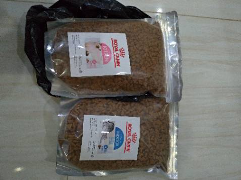 Mèo thích ăn, thường mua cho nó ăn