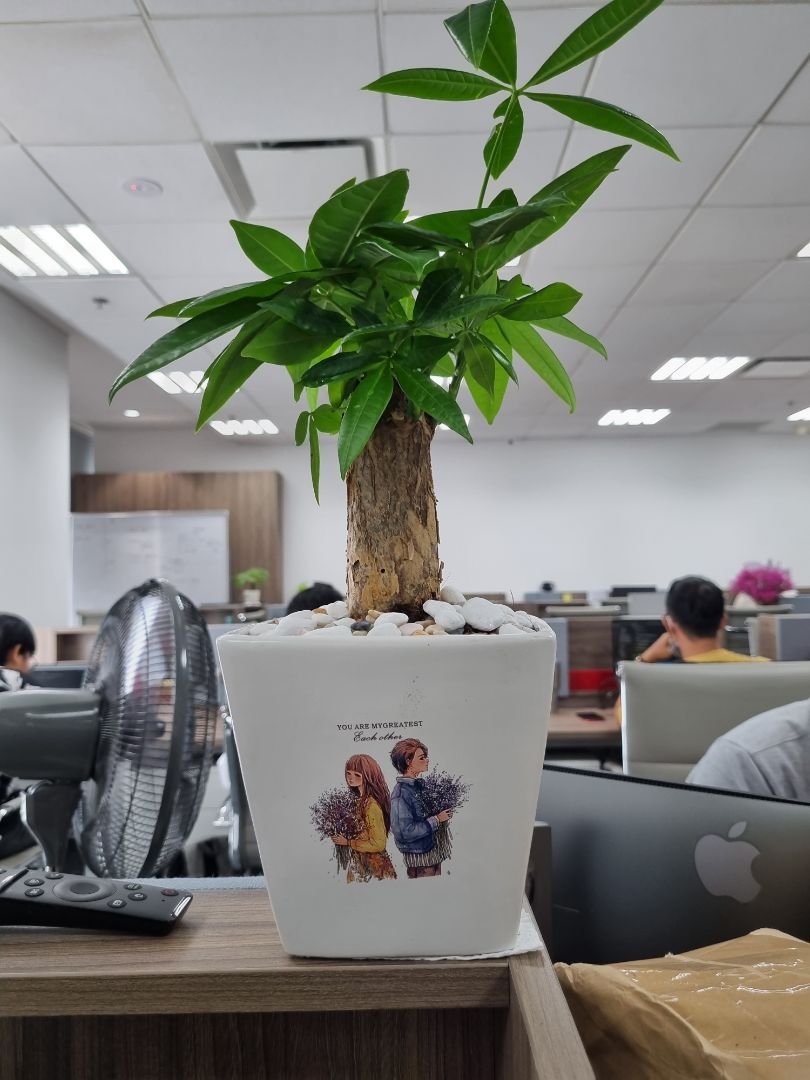 giao nhầm 1 sp mà shop ở xa nên k đổi

Điểm trừ là k dc chọn họa tiết mình thích