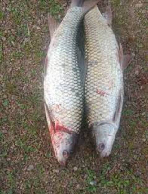 tiền nào của đấy anh em. đáng mua