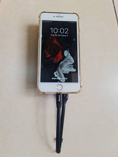 Cáp gọn, giống mô tả.