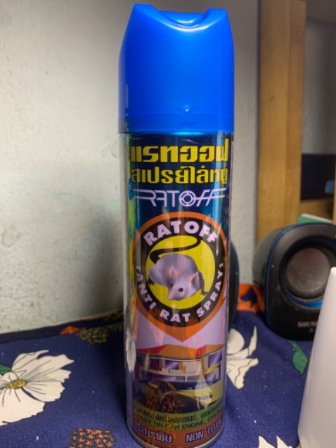 Con này mình "nuôi" tầm 1.5 tháng, bẫy hoài ko vô. Mua về xịt chuột chạy ra ngay, rồi tối đó hết chỗ chạy nên... chạy vô bẫy.