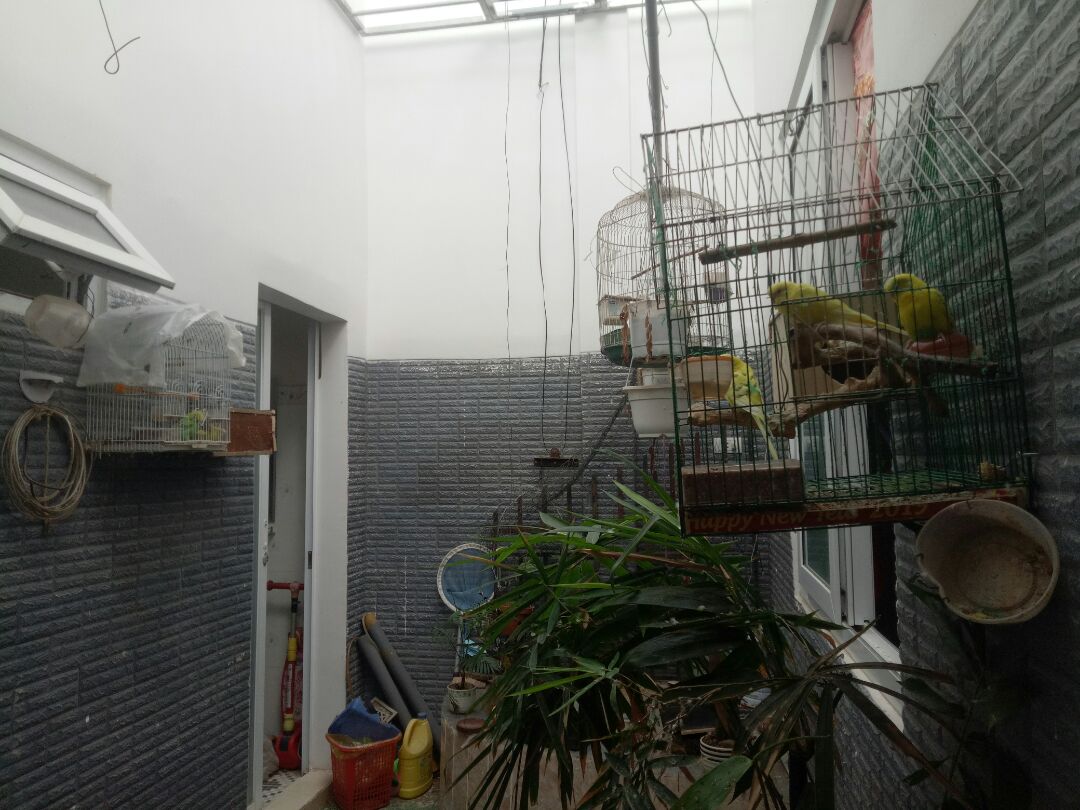 hạt to, đẹp, giao hàng nhanh chóng. cảm ơn shop.