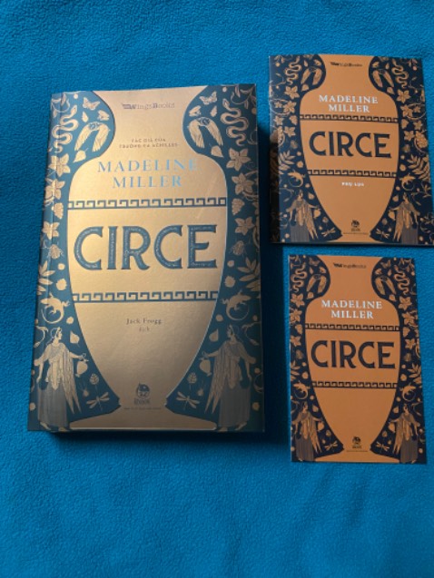 Giao rất nhanh và đúng hàng. Sách trong tình trạng tốt. Bìa bóng rất đẹp nhưng hơi khó đọc chữ trên bìa. Được tặng 1 postcard cứng cáp và 1 cuốn phụ lục nhân vật. Xem review thấy cuốn này được khen, lại đúng ngay flash sales 37% nên mua luôn.